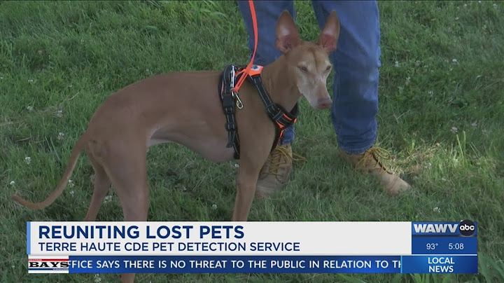 A mission to reunite lost pets with their families