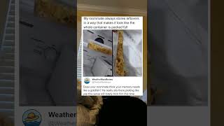 Does Your Roommate Think Your Memory Resets Like A Goldfish He Really Sits There Plotting Like Yep