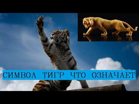 Тигр символ  удачи/Фэншуй талисманы/Талисман на удачу и богатство