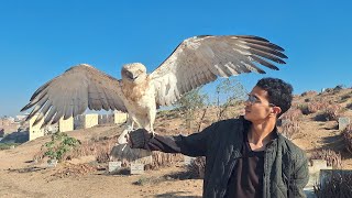 مغامرة صيد الصقور و الطيور الجارحة 🦅