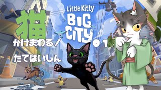 Little Kitty, Big City 猫になってかけまわる！ ０１リトルキティ、ビッグシティ #shorts
