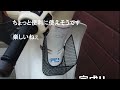 シニアおばさん、スーパーカブ１１０にミニバスケットを取り付ける