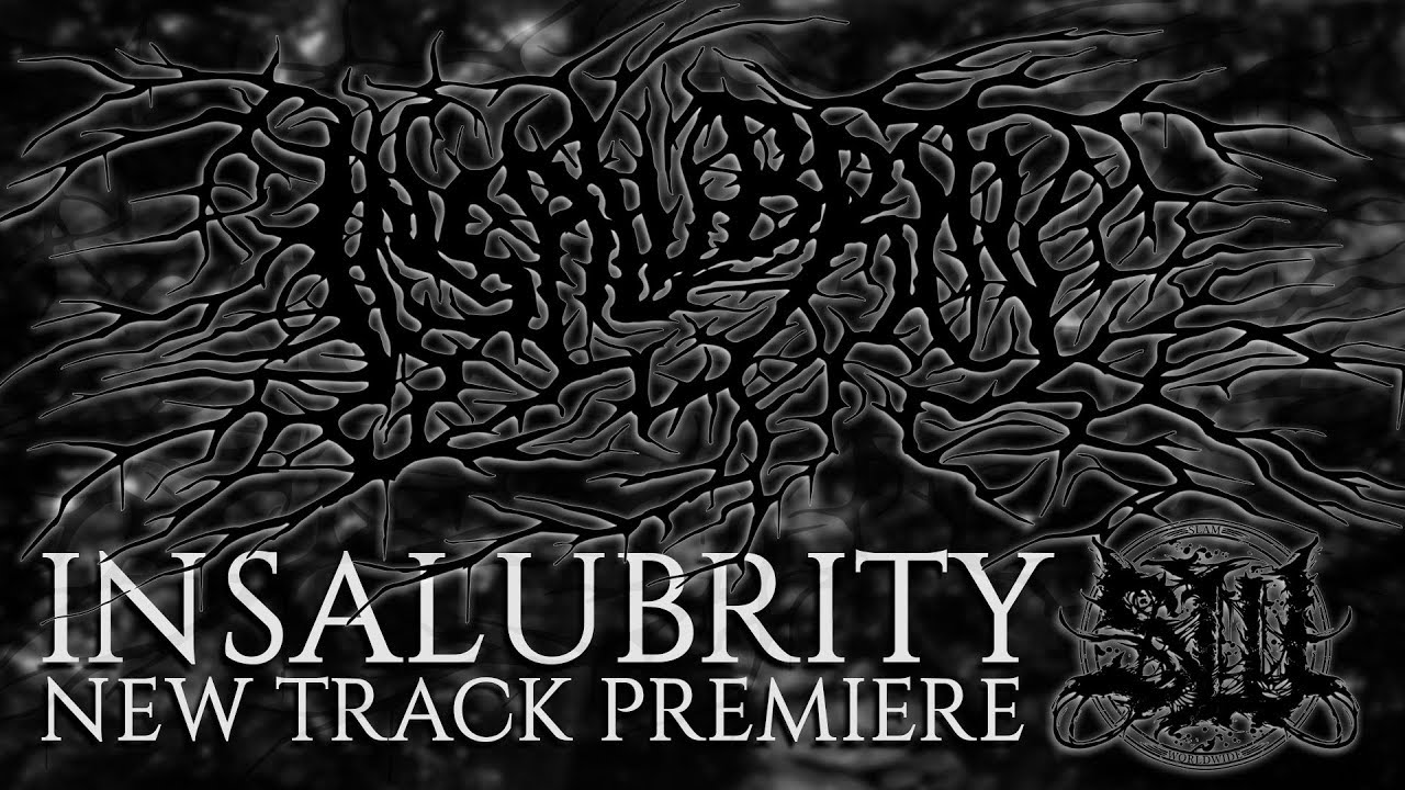 INSALUBRITY - HYPOVOLEMIC SHOCK BY NOSOCOMIAL INFECTION [PROMO] (2017) SW EXCLUSIVE