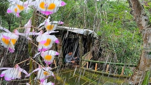 (ฉบับเต็ม)เข้าป่าสร้างบ้านต้นไม้หลังใหม่โดนฝนถล่มหนักตอนกลางคืน