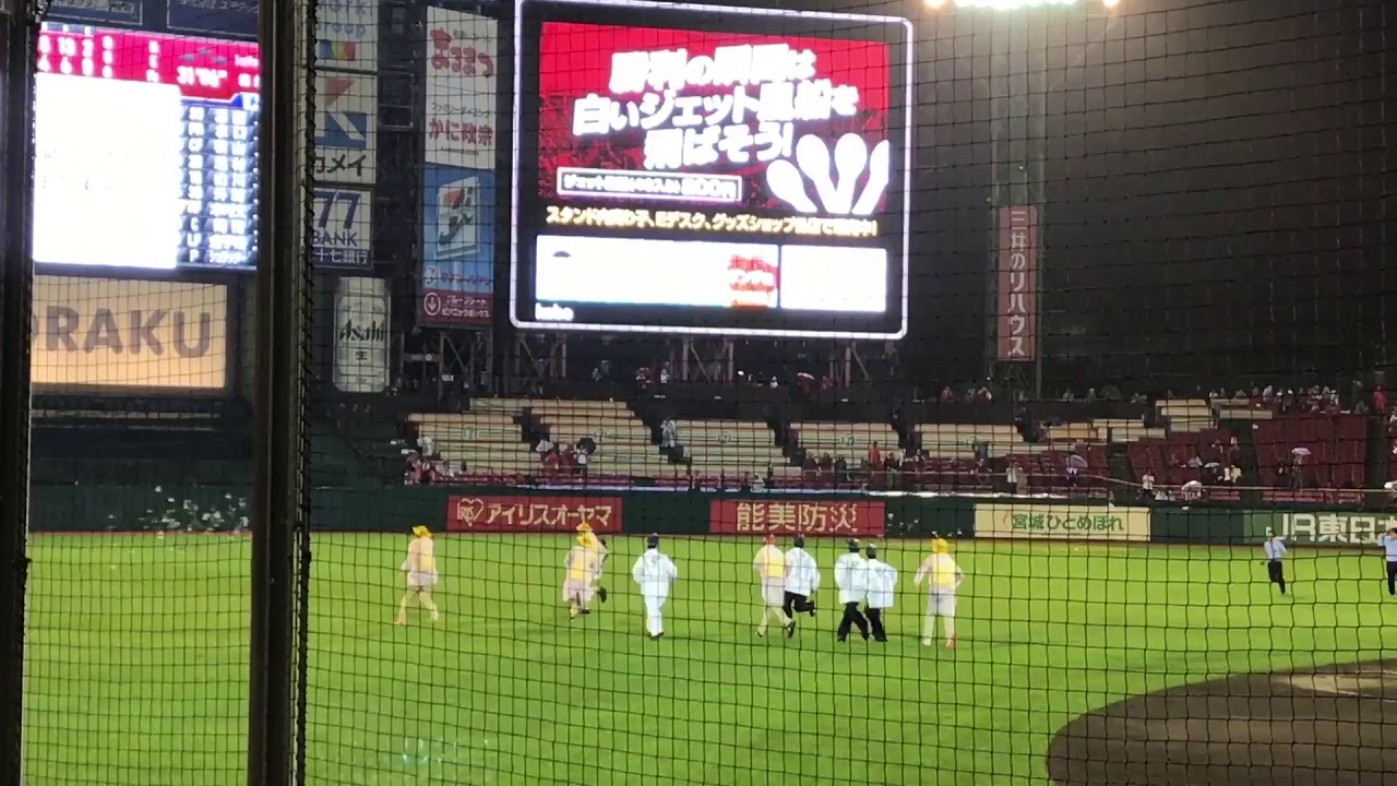 Koboパーク鳥襲来 試合中断 楽天vs西武戦 17 8 30 Youtube
