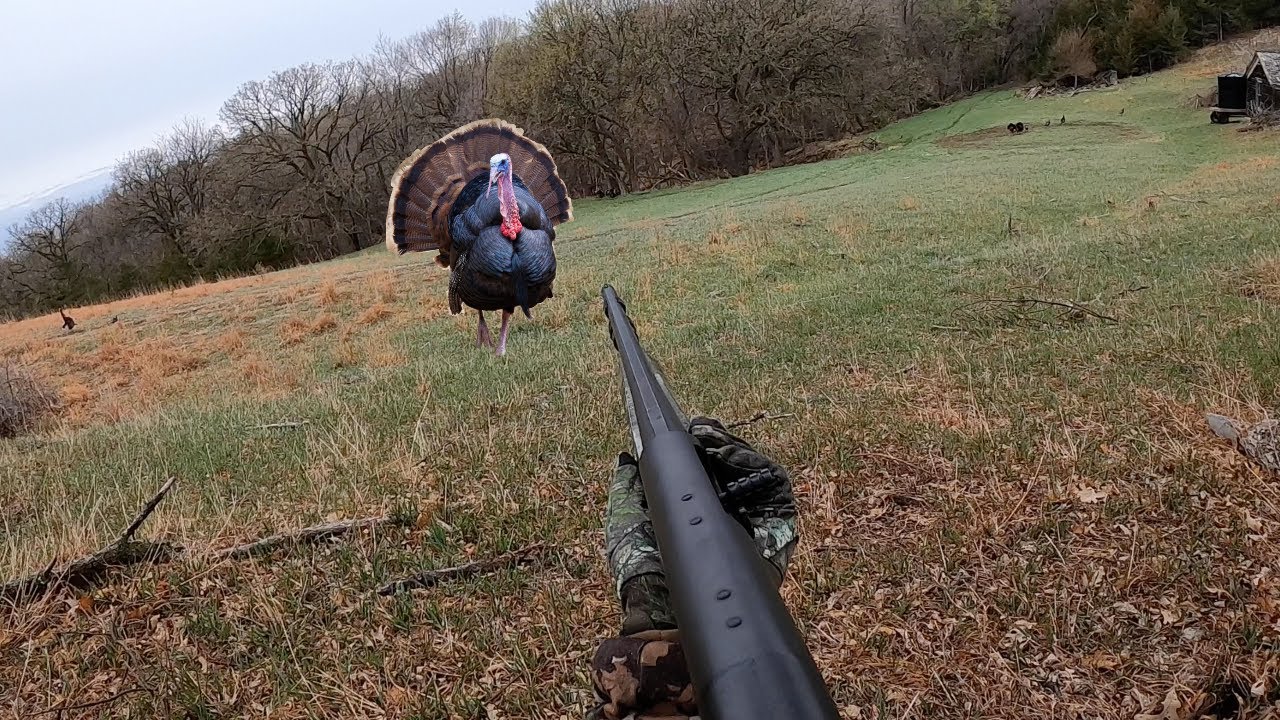 Turkey Hunting Giant Gobblers In Nebraska! (CATCH CLEAN COOK!)