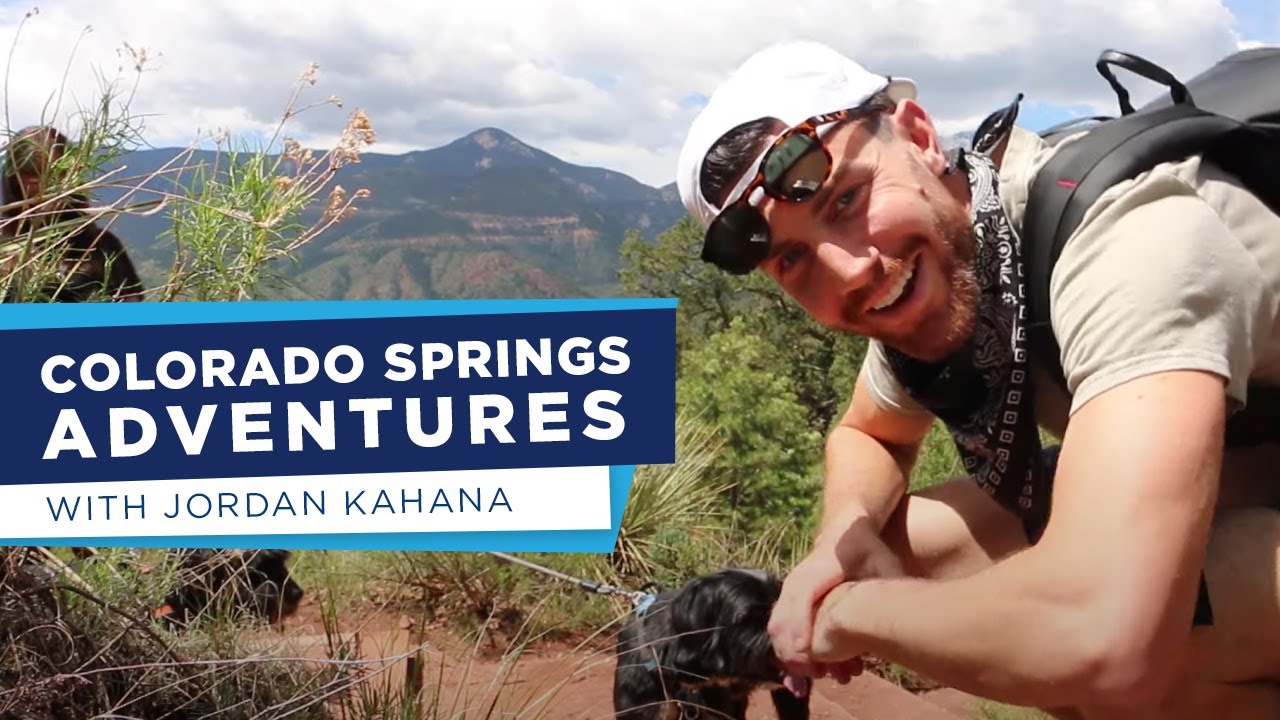 Do Best Westerns Allow Dogs