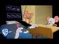 Tom  jerry  back to school special   classic cartoon compilation  wbkids