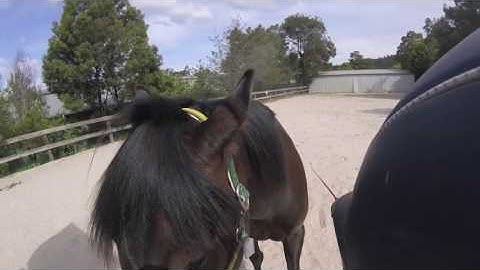 McLean Method Trailer loading excerpt