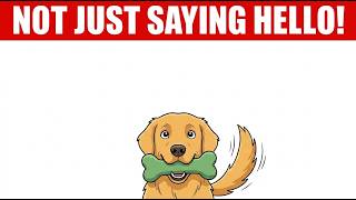 What Your Dog is REALLY Doing When You Come Home screenshot 2
