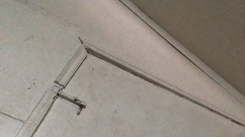 Donny’s Talking Typing A new way of learning how to type