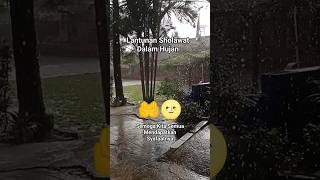 Download Lagu Lantunan Sholawat dalam hujan - Semoga kita semua mendapat Syafaatnya MP3