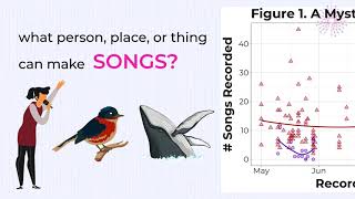 How to read the deciphered scatter plot