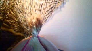 Capture 20140913 2