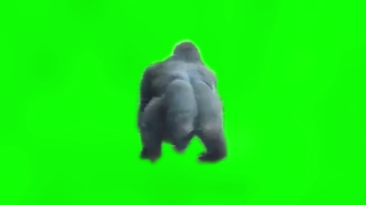 Funny Spinning Monkey Green Screen Free YouTube