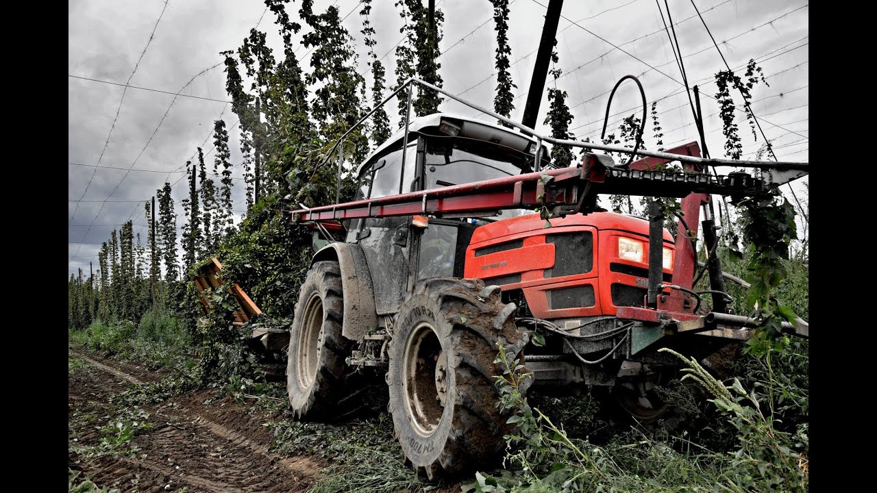 Harvest of hops in the Czech Republic / SAME Dorado 86 / GoPro Hero 7 Black / Chmel 2019