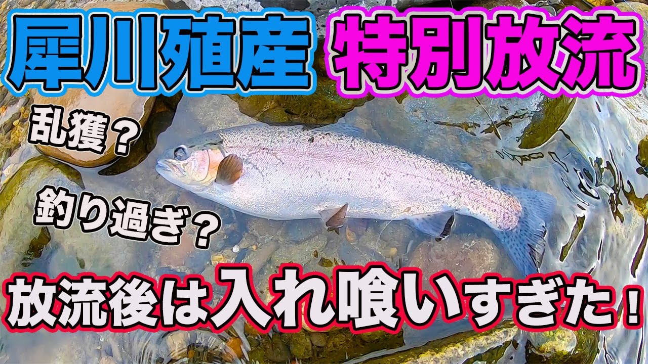 ▽長野県の渓流釣り場ガイド 南信編 釣り ヤマメ イワナ 山と渓谷