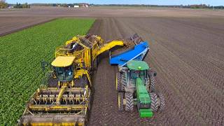 Crop Chaser Sugar Beet Dump Cart