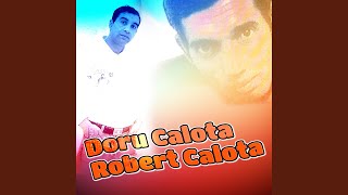 Vignette de la vidéo "Doru Calota - Amor Amor"
