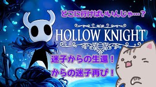 【#hollowknight  】#6 万年迷子のｺﾈｺﾁｬﾝ！次はどこに行こうかねぇ！【＃曇月りつ ／#初見大歓迎 】