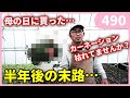 母の日から半年後のカーネーションの様子 育て方 by 園芸チャンネル 490 園芸 ガーデニング 初心者