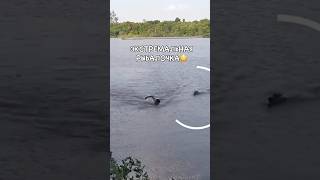 Экстремальная Рыбалка