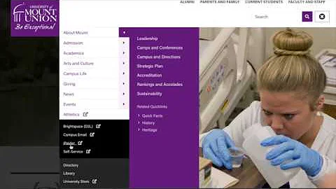 Website Navigation - The "Hamburger Menu"