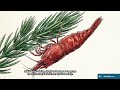 Why Hornwort Is the Best Biological Buffer for Aquariums