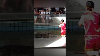 इस आदमी ने Crocodile के मुँह में सर दे डाला | Play-Time With Crocodile