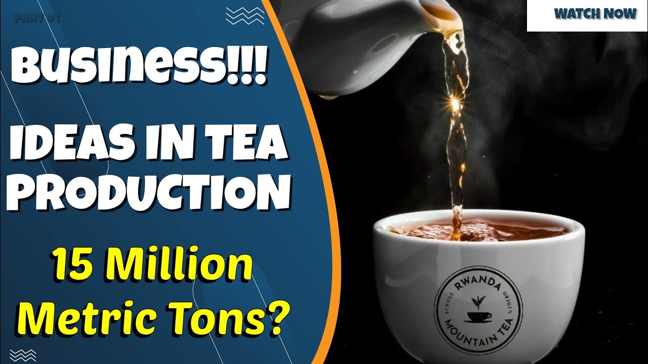 Still from Why Rwanda Mountain Tea Is Growing Millions Of Tea & Adding Value Before Exporting To Europe