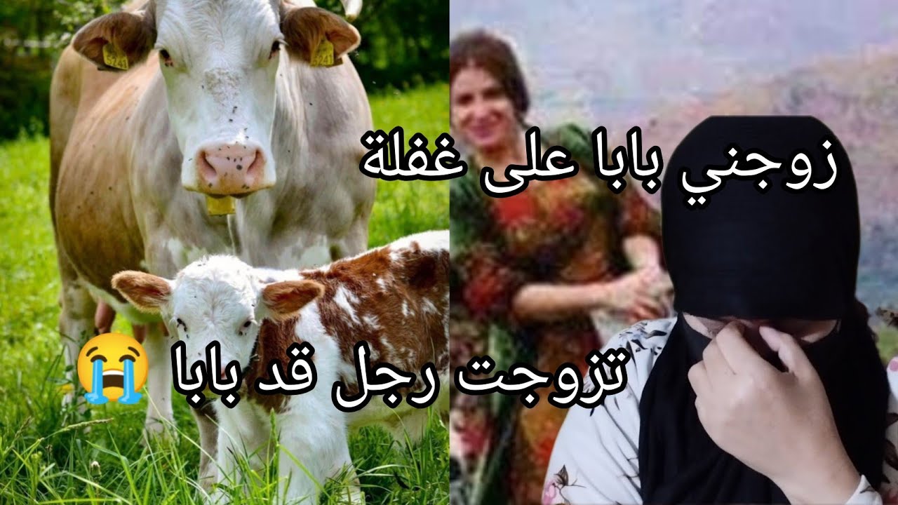 بابا جبلي رجل وقلي هذ رجلي يله سيري معاه😭كنت صدمة العمر باش نتزوج رجل قد بابا قصتي مع البقرة😱