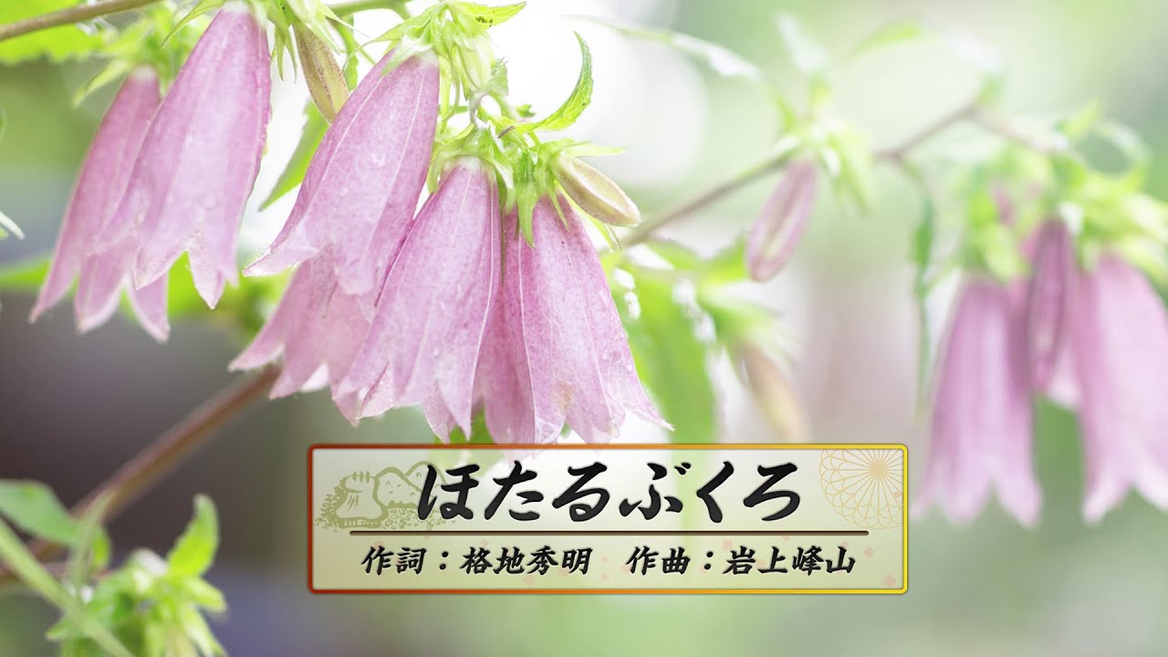黒崎悦子 ほたるぶくろ 歌詞&動画視聴 - 歌ネット