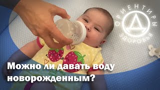 Можно ли давать воду новорожденным?