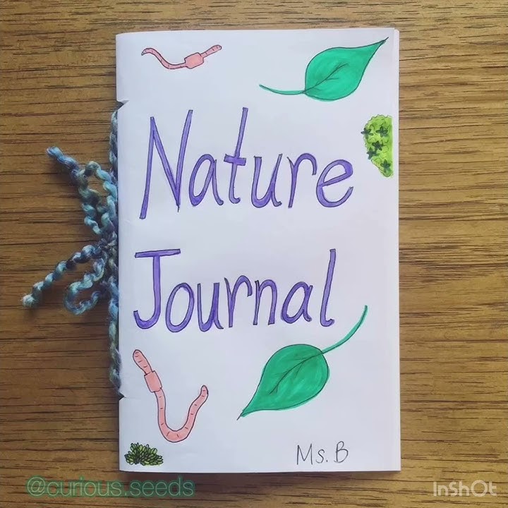 Curious Seeds: How to Make a Nature Journal (for kids)