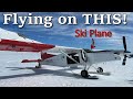 Taking a HELICOPTER and SKIPLANE to a GLACIER! Mt Cook Adventure