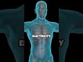 Why Static Electricity Shocks You ⚡😬||#sciencefacts#physicsfacts @VerifexFacts