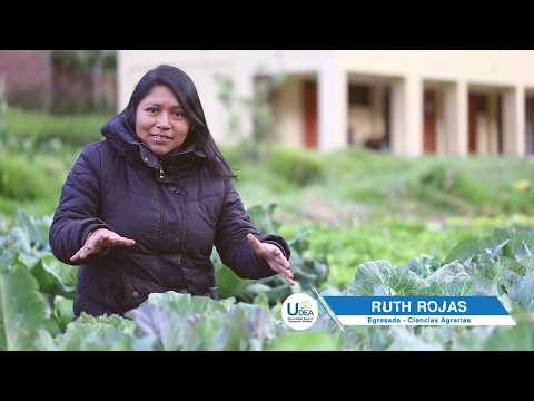 ¡Bienvenidos a la Universidad para el Desarrollo Andino!