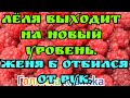 Деревенский дневник очень многодетной /Обзор /Леля выходит на новый уровень /Женя Б отбился от рук /