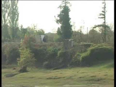 გალის რაიონში კიდევ ერთი გატაცების ფაქტი დაფიქსირდა.