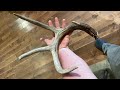 Shed hunt Maine | Big 8 - 2023