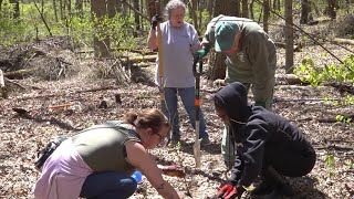 Earth Day: Volunteers in Ohio plant trees, clean pollinator gardens to restore native habitats