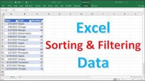 Sorting and Filtering in Excel -- Ms Excel || Full Tutorial (Animated Video📱) ||
