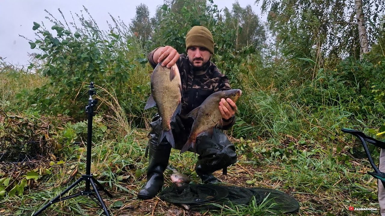 Nakts Cope Lielupē Breksis un Zandarts #cope #breksis #upe #zandarts