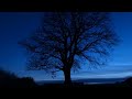 Incredibly beautiful astronomy timelapse of the sky at night  time lapse astrophotography 