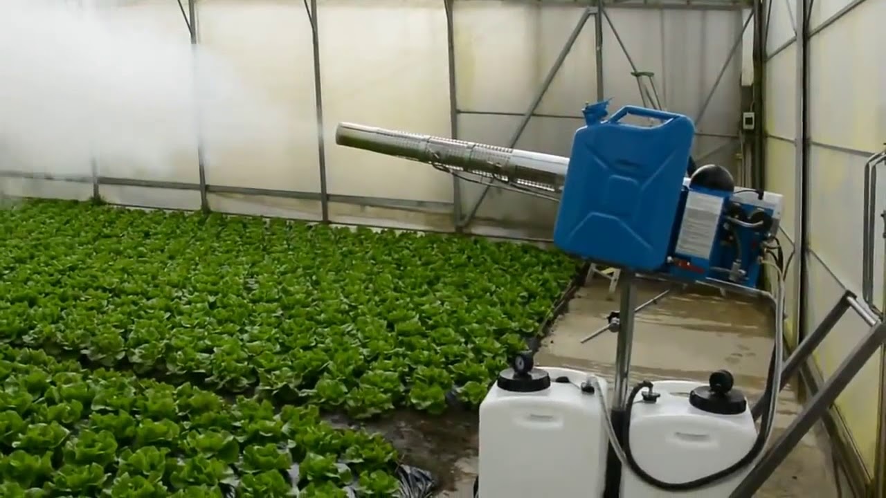 PulsFOG Plant Protection Application in Greenhouse for lettuce YouTube