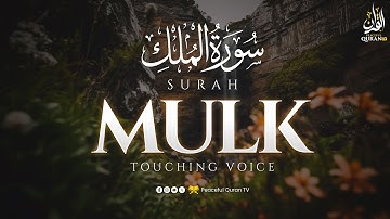 Surah Al Mulk سورة الملك | Wonderful Voice Will Touch Your Heart إن شاء الله | Peaceful Quran TV