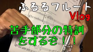 部分特訓！ホールニューワールド【初心者】ふるるフルート#8