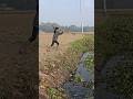 মাছ ধরার ভিডিও #shortvideo #viralvideo #fishing #rrrfishingbd