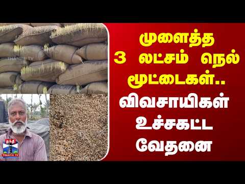paddy | Cuddalore | முளைத்த 3 லட்சம் நெல் மூட்டைகள்.. விவசாயிகள் உச்சகட்ட வேதனை