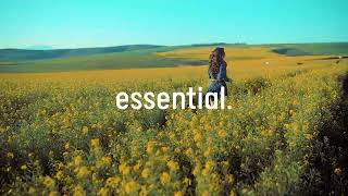 PHURS, B Martin, Capri Everitt - Solo